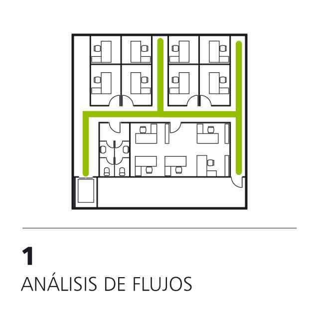 Análisis de flujos. Estudio señalético de las circulaciones horizontales y verticales.